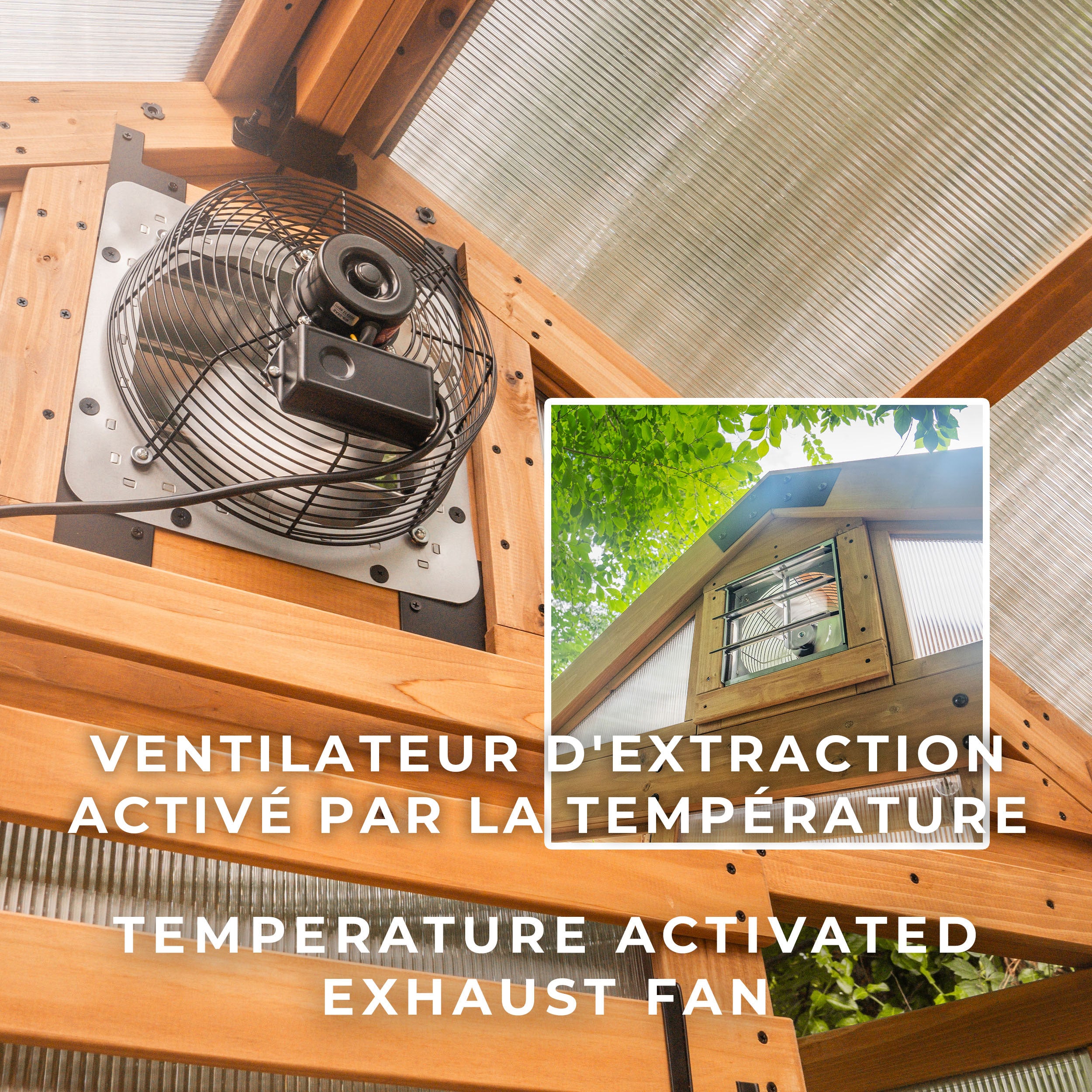 Bellerose Greenhouse (9ft x 6ft)