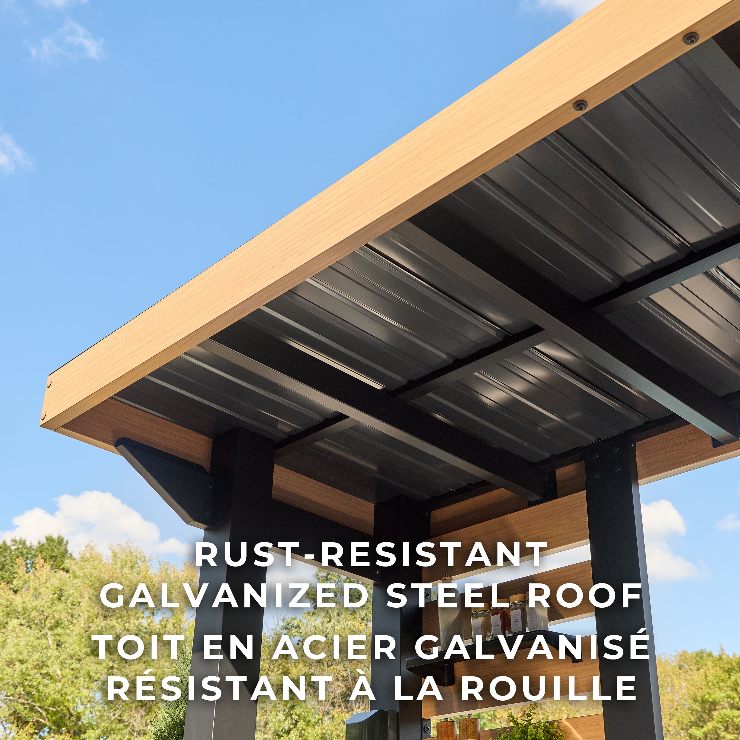 Fusion Flame 2 Outdoor Kitchen