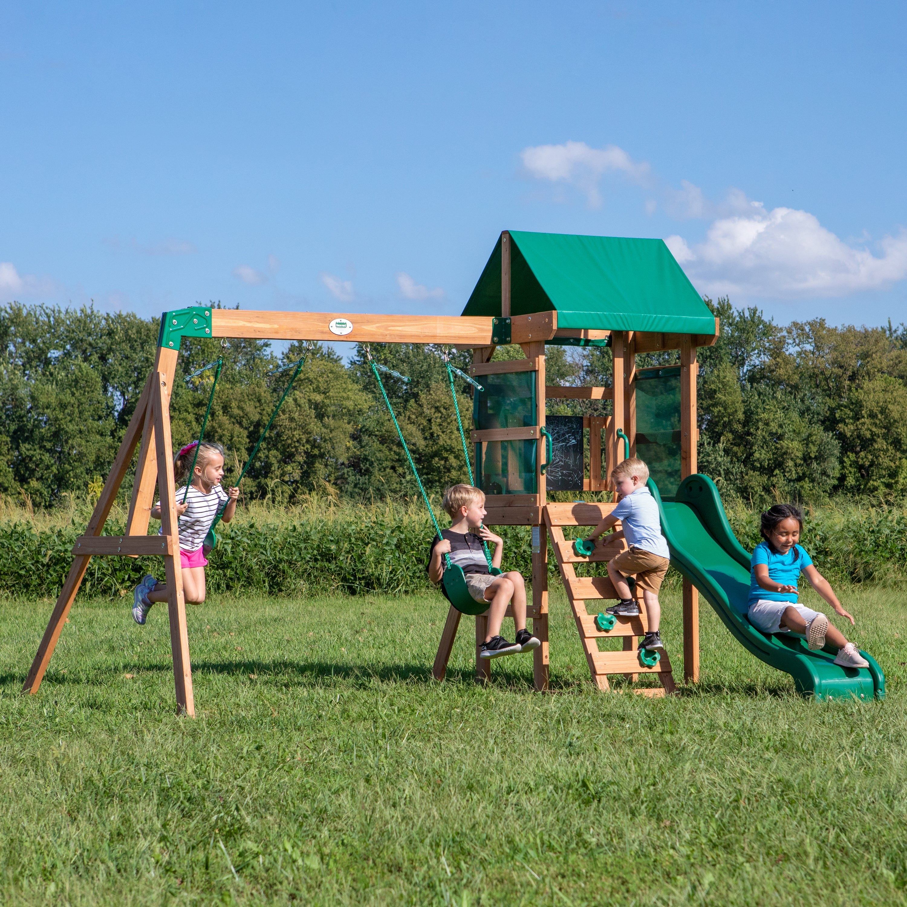Buckley Hill Swing Set #main #features