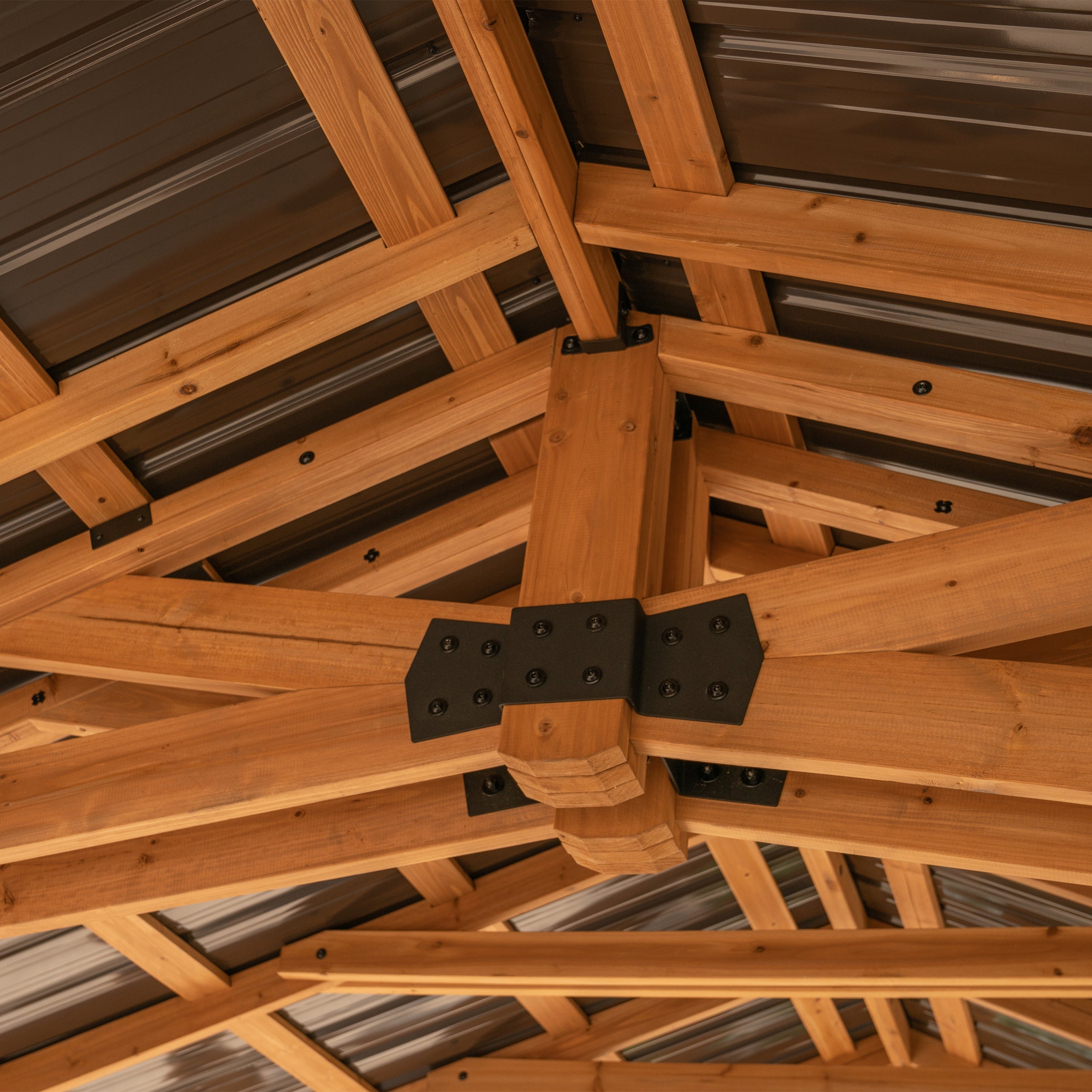 20x12 Norwood Carport Roof